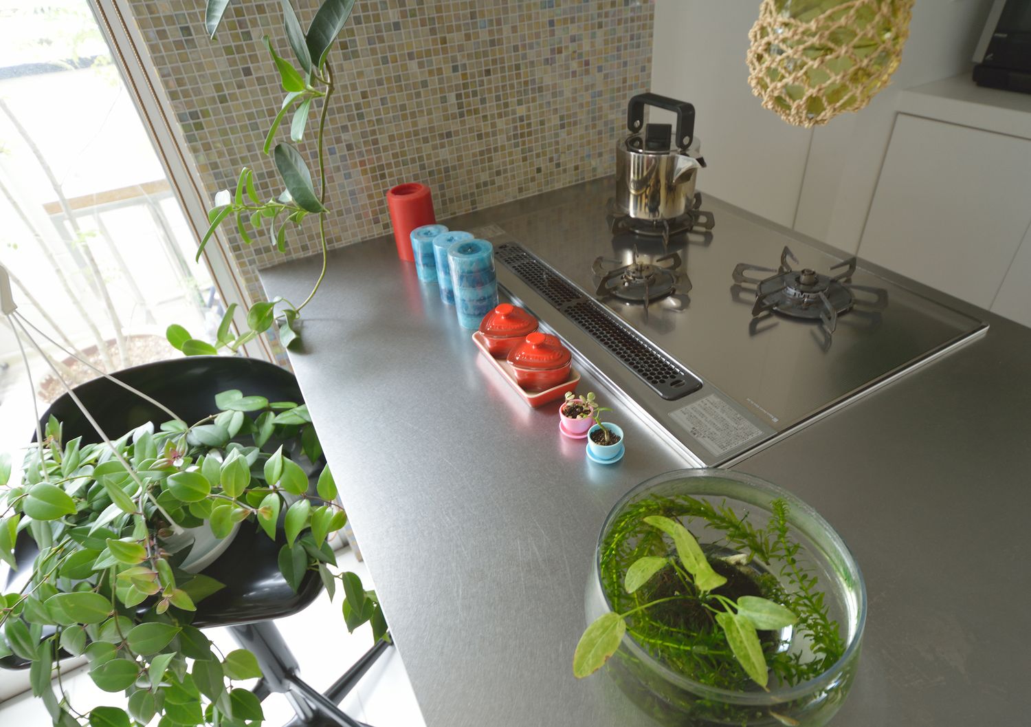 観葉植物が置かれたステンレスのペニンシュラキッチン・デザイン住宅