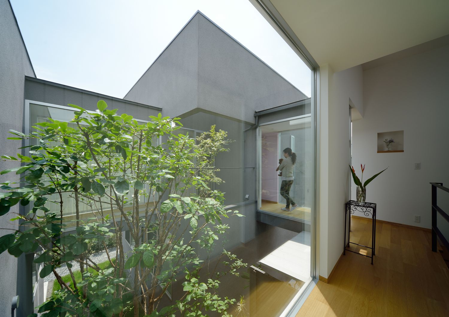 大きな窓から中庭の植栽が見える開放的な室内・デザイン住宅