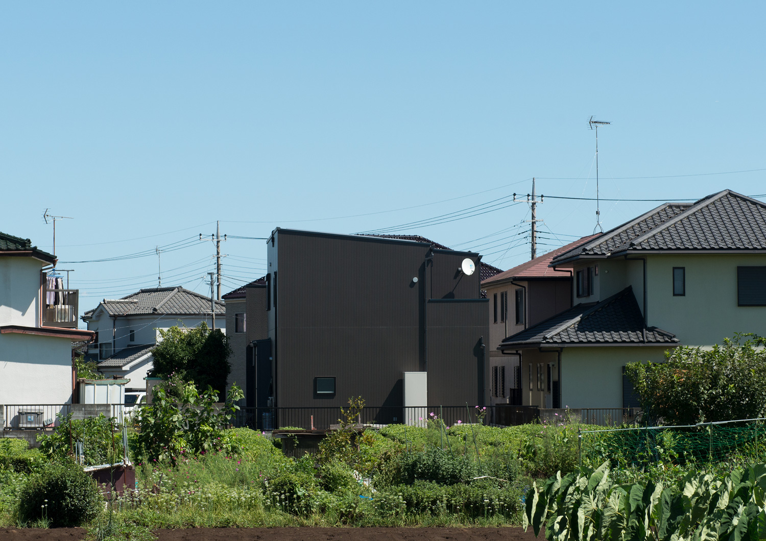 畑越しに窓の無い黒い外壁の住宅が見える様子・デザイン住宅 注文住宅・デザイン住宅建築実例_『CASE638 「BLACK BOX」』_外観