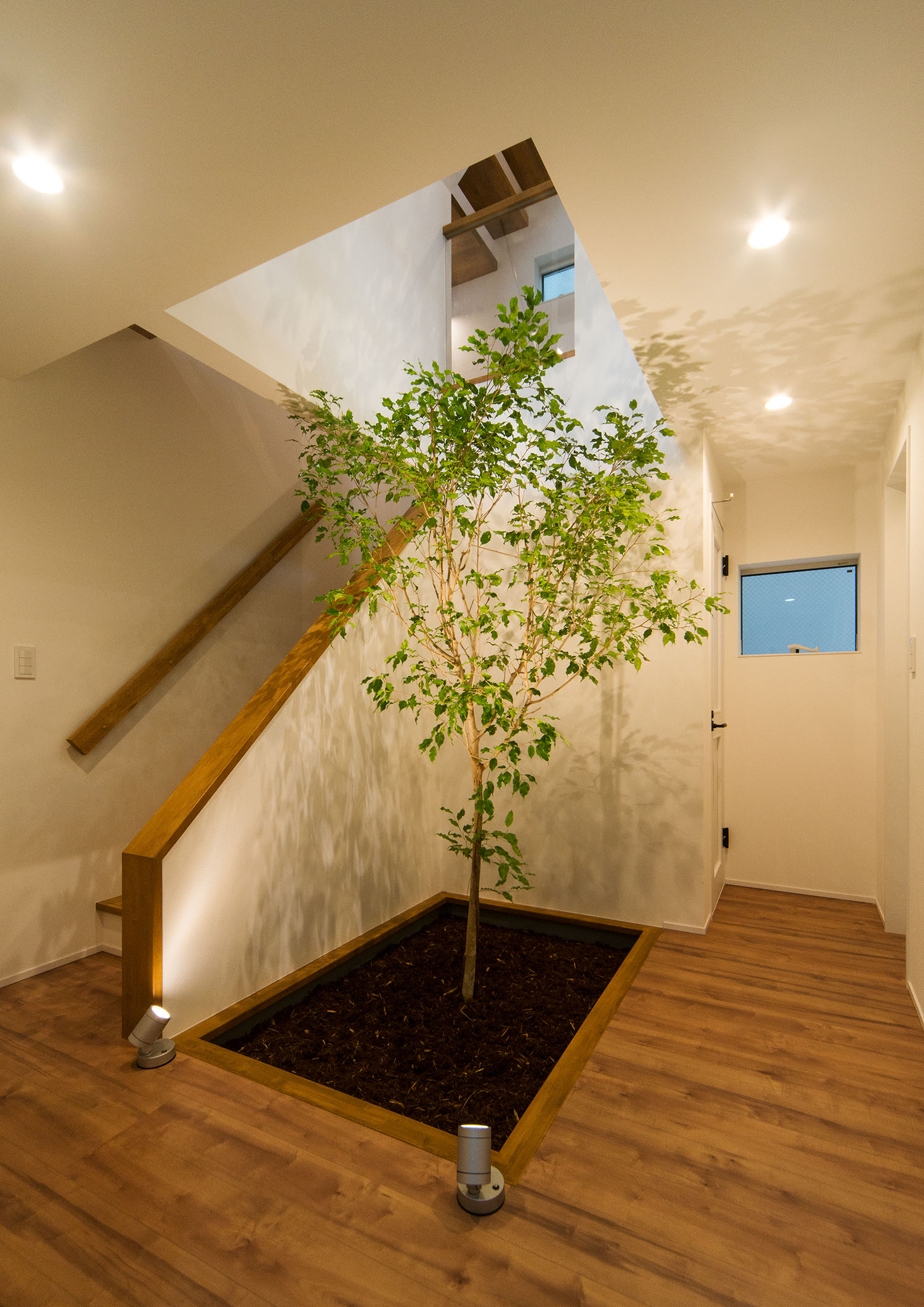 シンボルツリーがあるフローリングの室内・Gardenのある家 注文住宅・デザイン住宅建築実例_『CASE674 Gardenのある家』_玄関