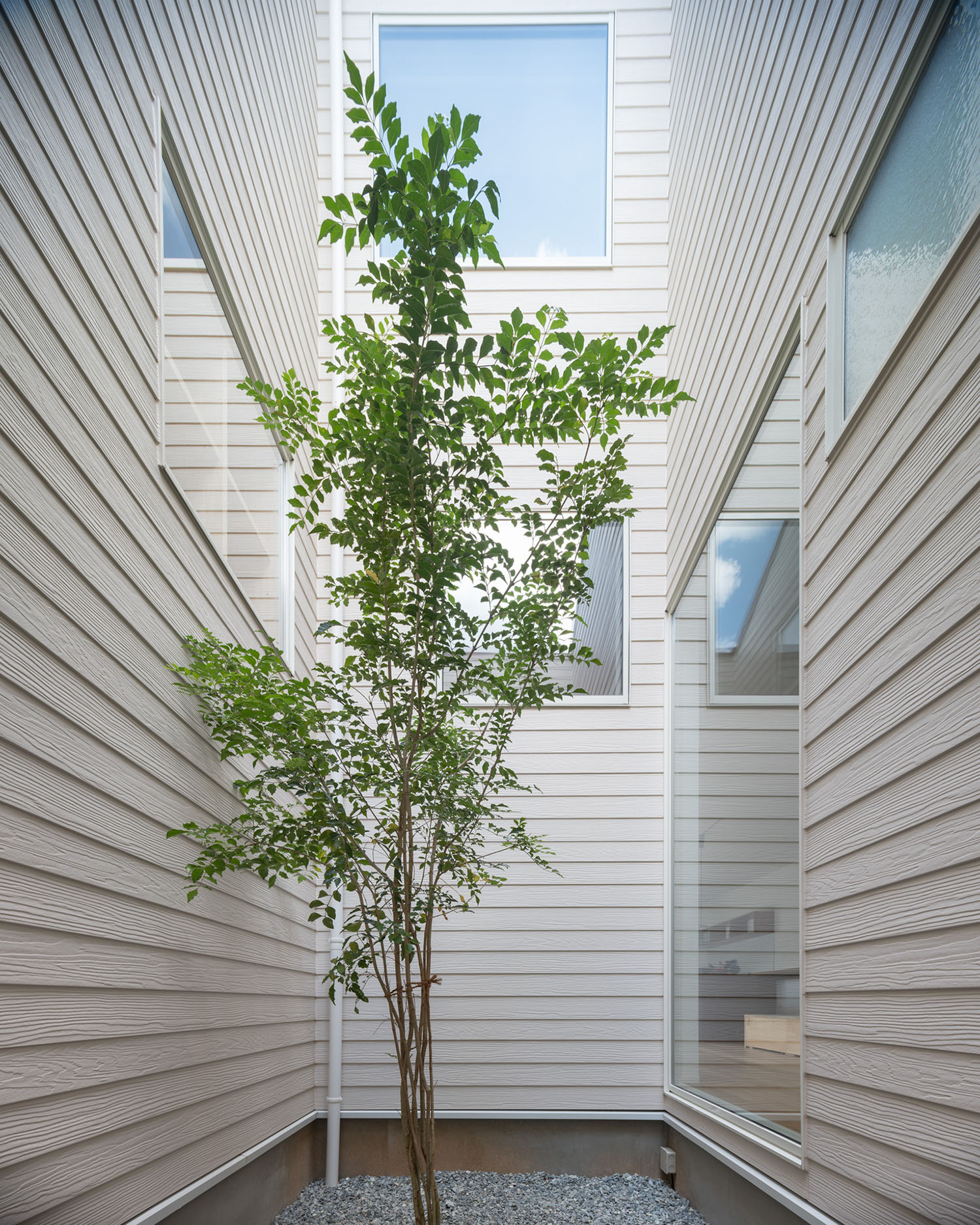 白い外壁に囲まれシンボルツリーが一本植えられている中庭・デザイン住宅 注文住宅・デザイン住宅建築実例_『CASE679 だんだんのいえ』_中庭
