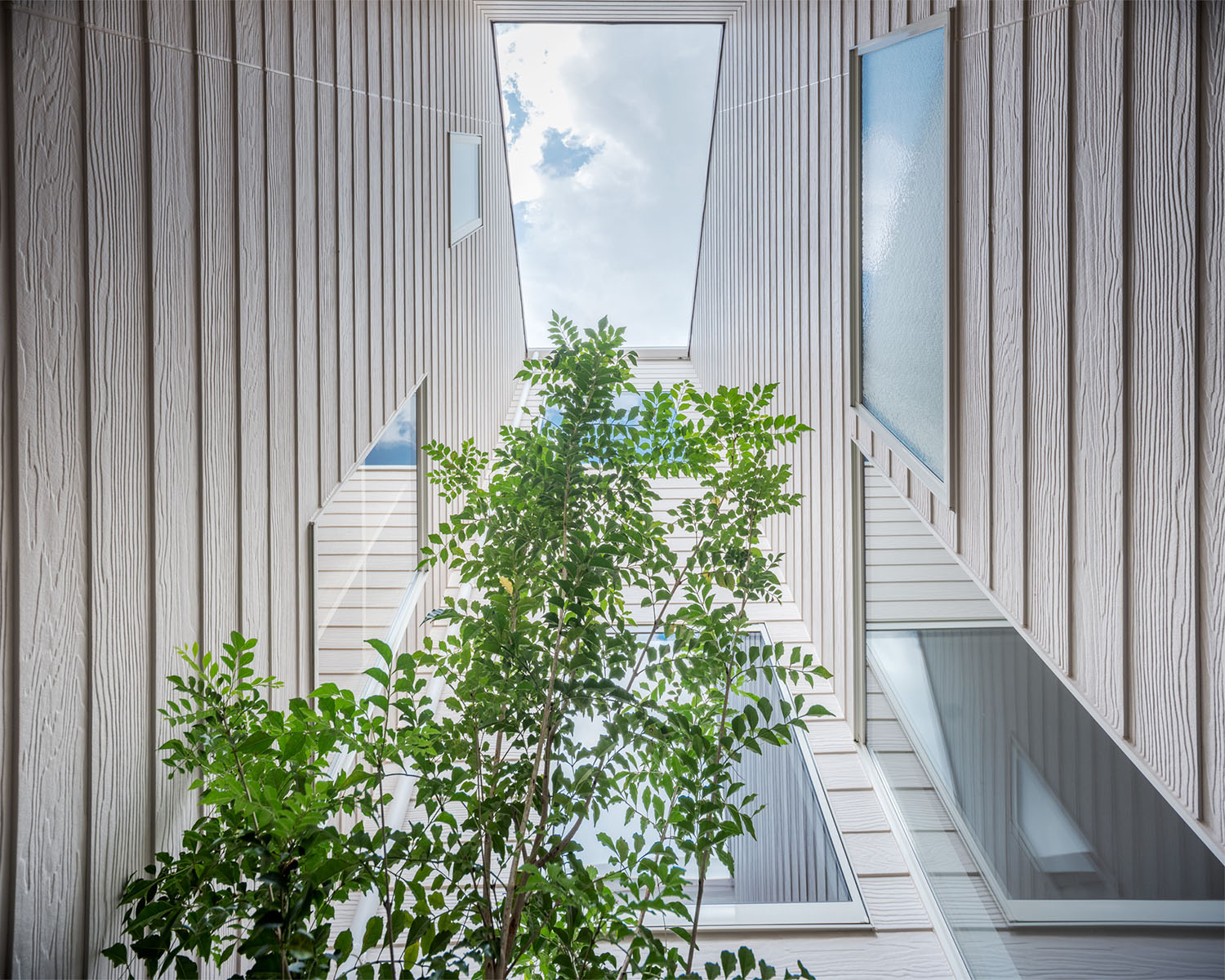 中庭を囲む壁に窓が沢山設けられている様子・デザイン住宅 注文住宅・デザイン住宅建築実例_『CASE679 だんだんのいえ』_中庭