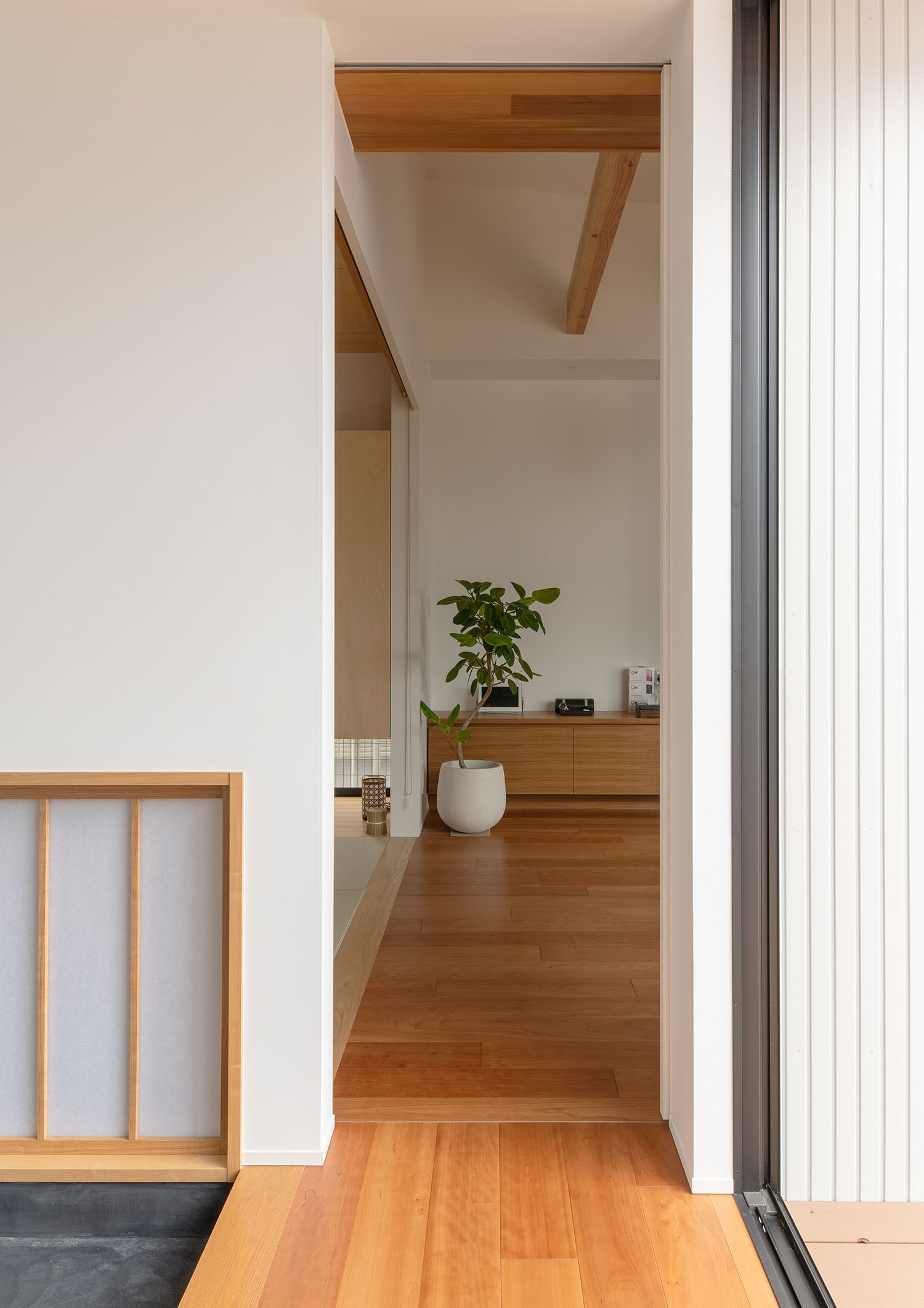 観葉植物のある室内へと繋がるフローリングの廊下・デザイン住宅 注文住宅・デザイン住宅建築実例_『CASE683 丘の上のハウス』_玄関