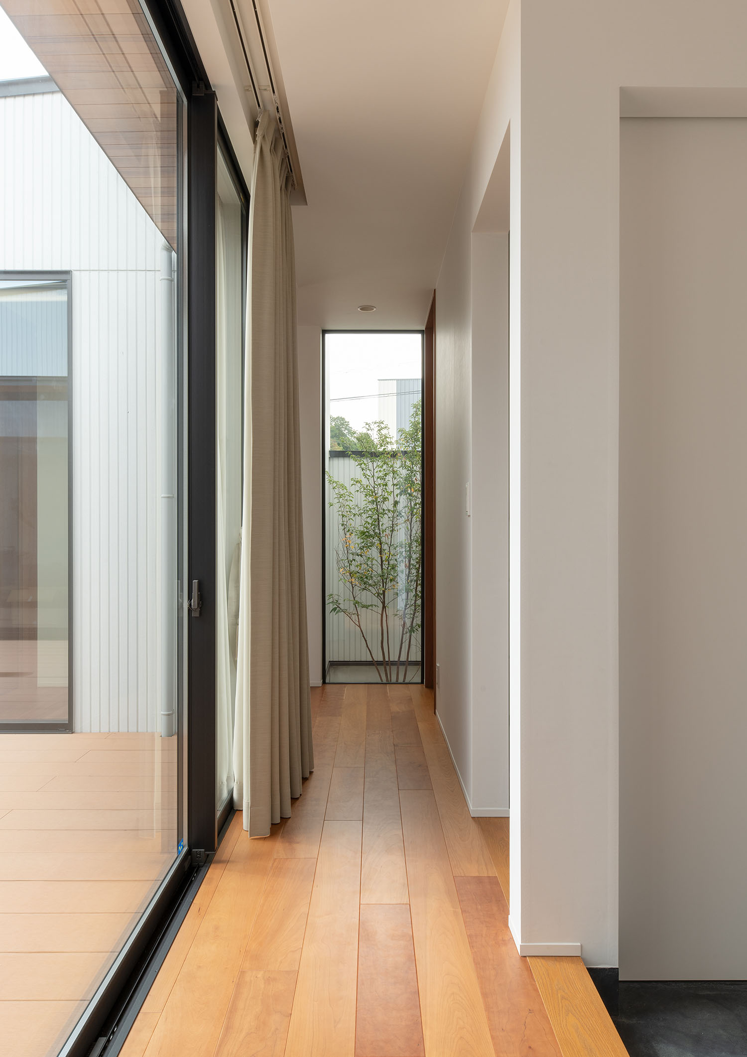 フローリングの廊下の突き当りに植栽が見える様子・デザイン住宅 注文住宅・デザイン住宅建築実例_『CASE683 丘の上のハウス』_廊下