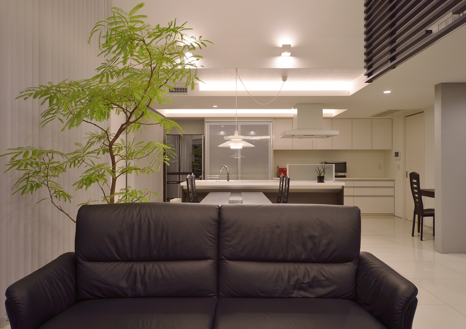 大きな観葉植物があるシンプルでおしゃれなLDK・デザイン住宅