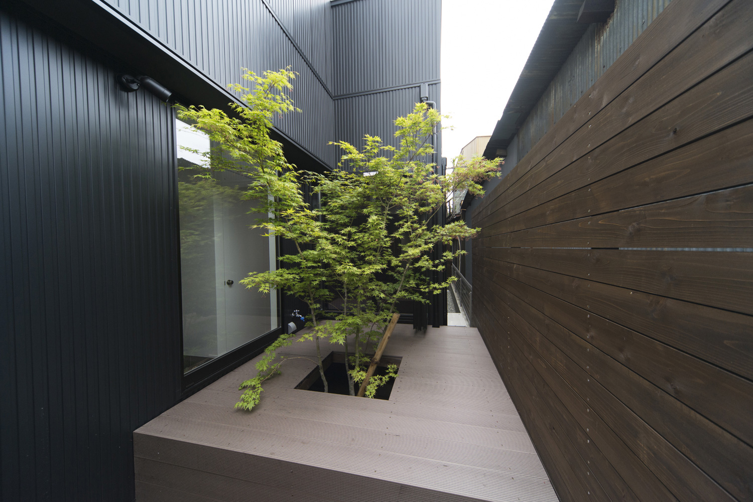 木の目隠し壁を取り付けたシンボルツリーがある中庭・デザイン住宅