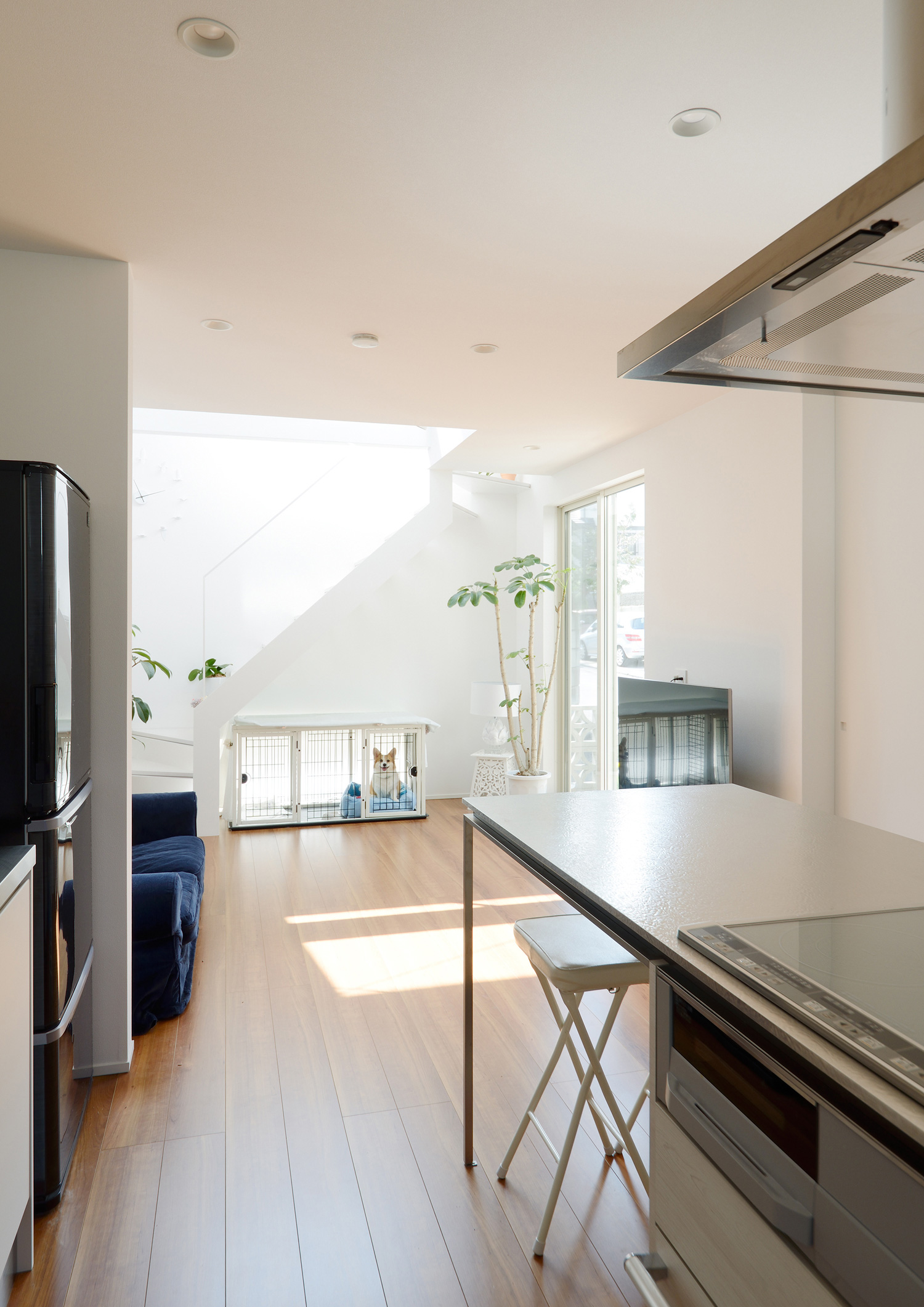 注文住宅・デザイン住宅建築実例_LDK