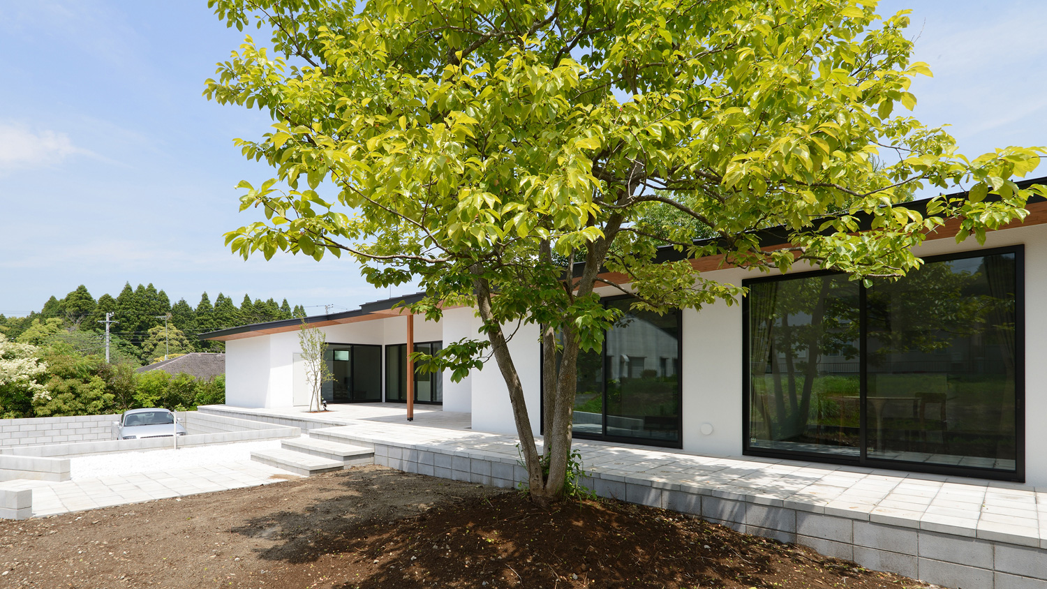 大きなシンボルツリーが植えられた庭がある平屋・デザイン住宅