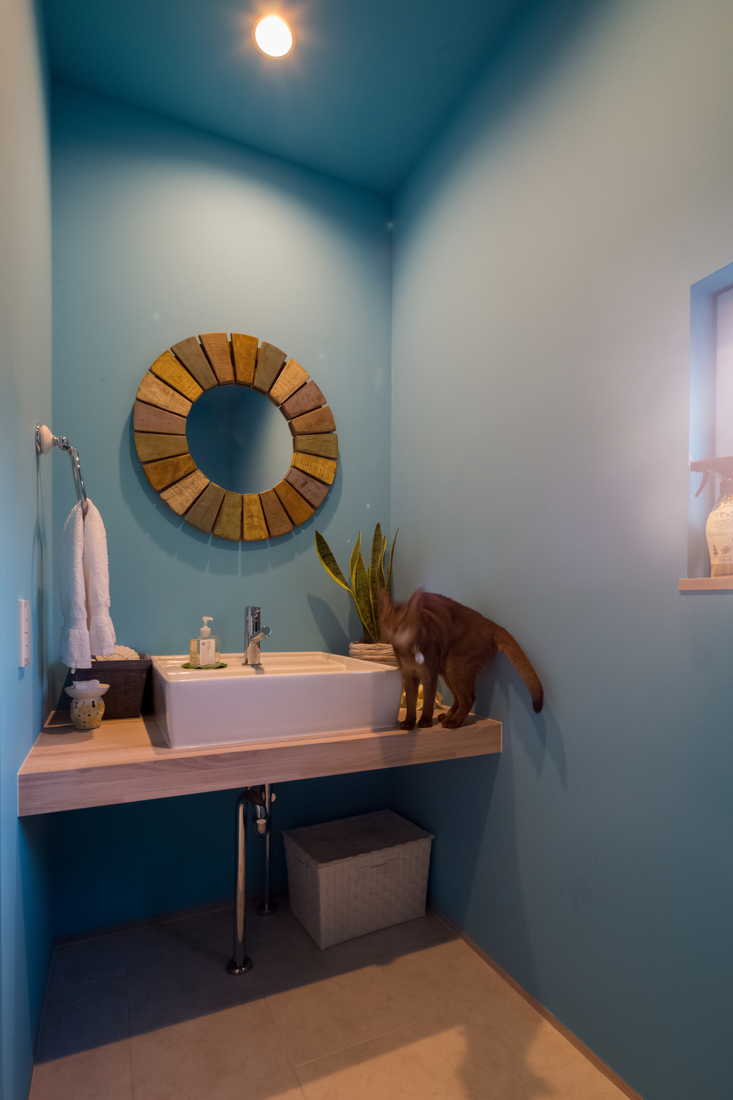 注文住宅・デザイン住宅建築実例_トイレ