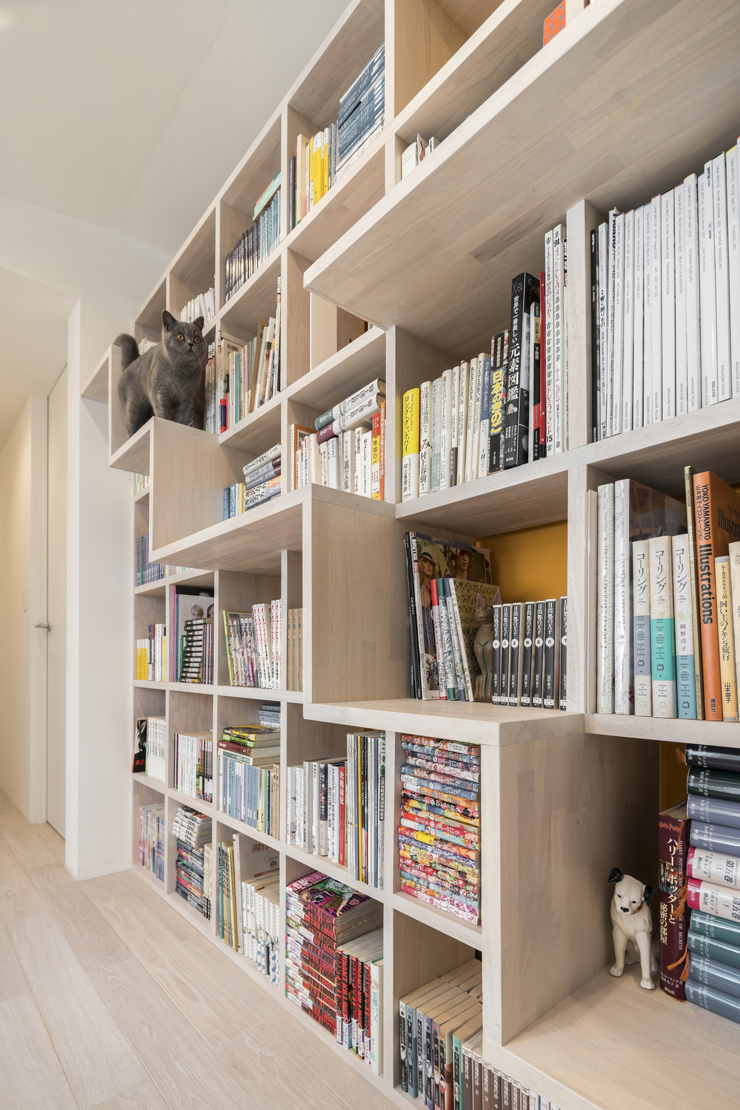 ペットと暮らすシンプルモダンでおしゃれな平屋