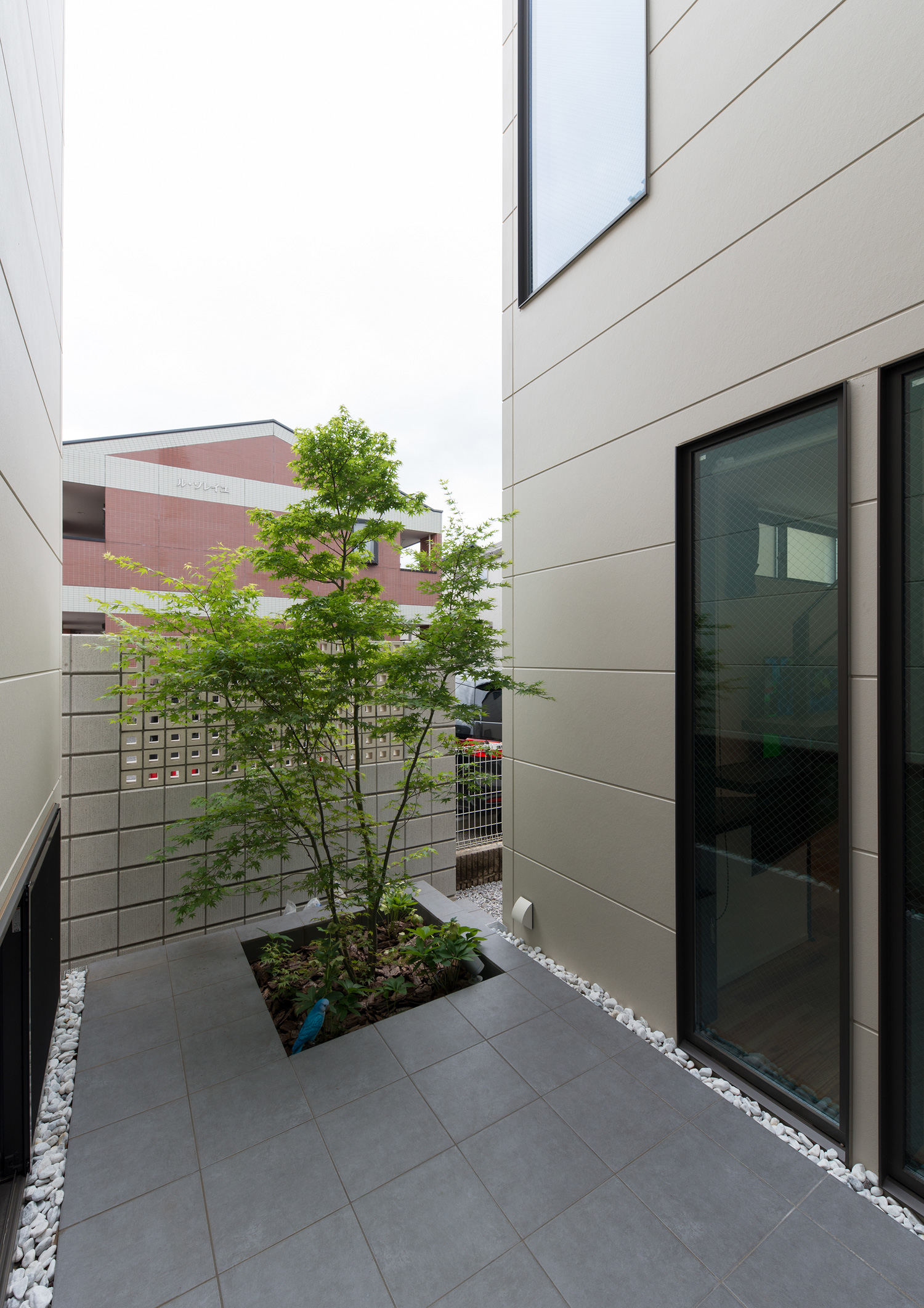 植栽がある黒いタイルの中庭・デザイン住宅 注文住宅・デザイン住宅建築実例_『CASE595 あかりを織る家』_中庭