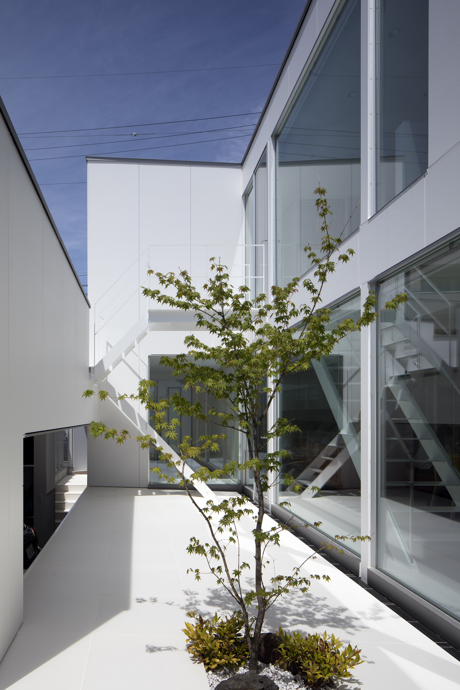 大きな窓が面した、シンボルツリーのある中庭・デザイン住宅 注文住宅・デザイン住宅建築実例_『CASE627 HOUSE . GARAGE HOUSE』_中庭