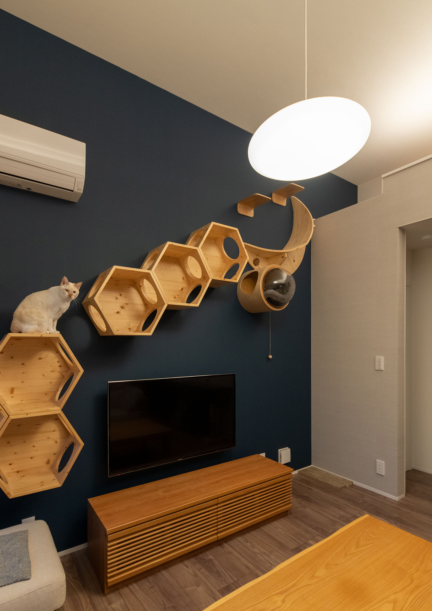 紺色の壁に木製のキャットウォークが取り付けられているLDK・デザイン住宅 注文住宅・デザイン住宅建築実例_『CASE689 猫と寄り添う家』_LDK