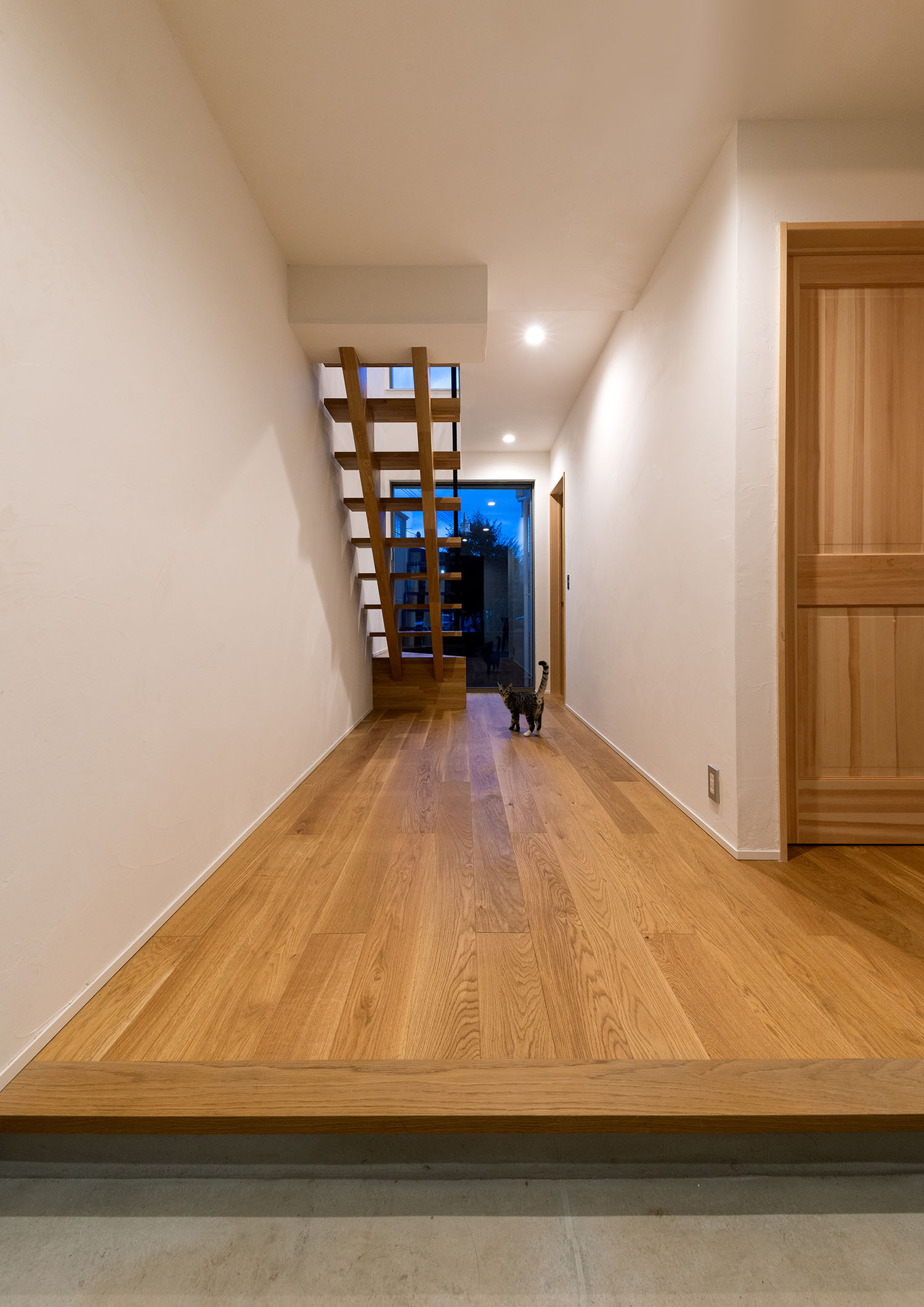 フローリングと漆喰壁の廊下に猫がいる・デザイン住宅 注文住宅・デザイン住宅建築実例_『CASE690 質感にこだわった完成を楽しむ家』_玄関