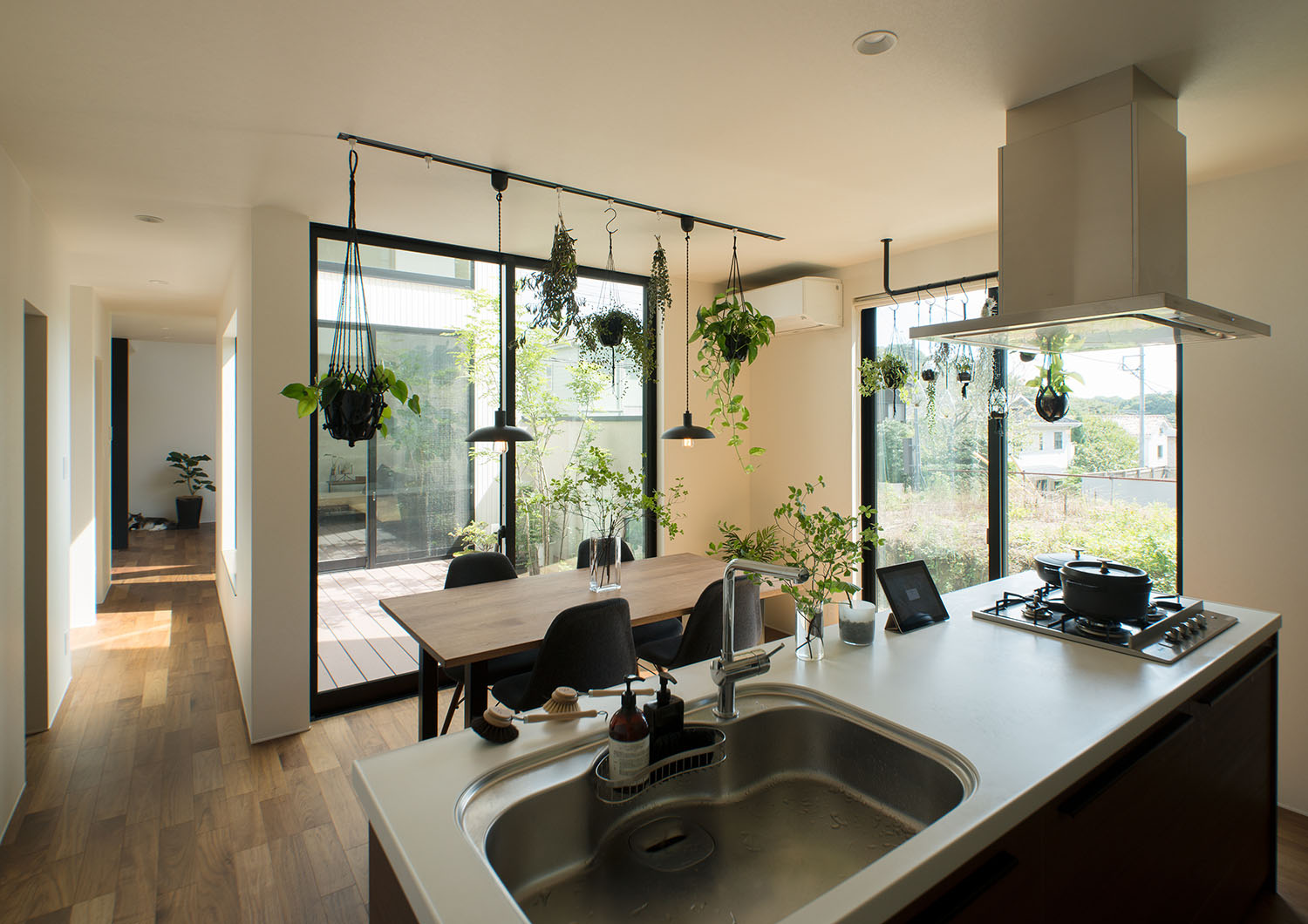 観葉植物が飾られたダイニングや中庭を見ることが出来るアイランドキッチン・デザイン住宅 注文住宅・デザイン住宅建築実例_『CASE696 tongari house』_キッチン