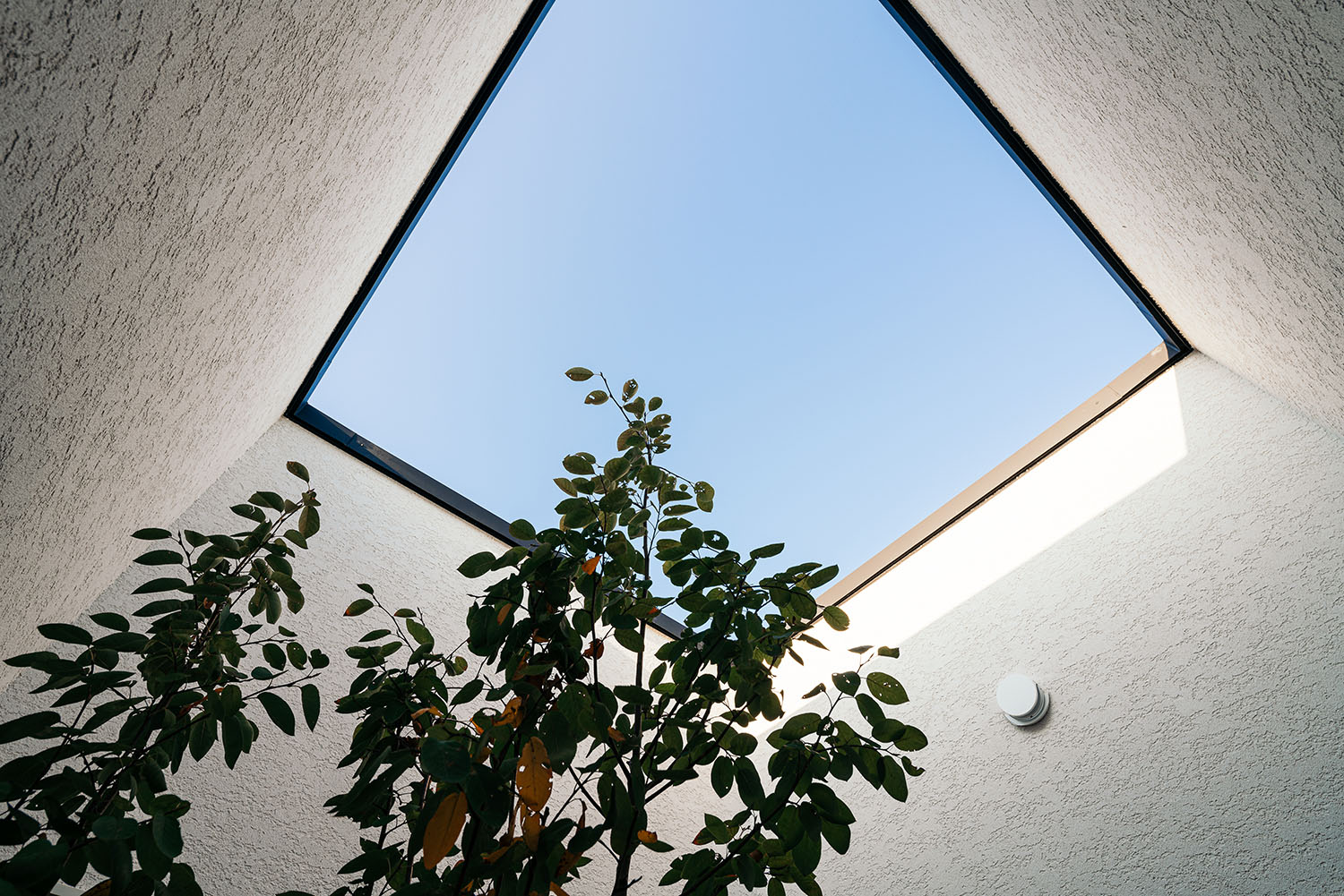 注文住宅・中庭・天窓・開放感のある・シンボルツリー 注文住宅・デザイン住宅建築実例_『CASE721 落ち着きのある家』_中庭