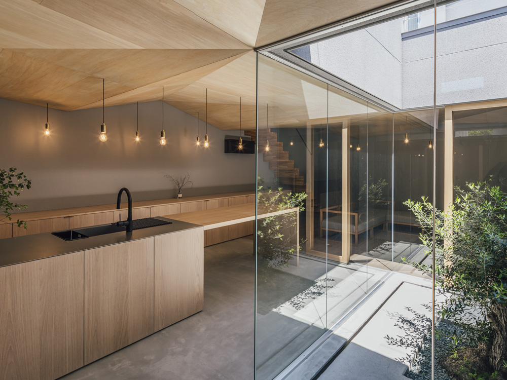 CASE736 アンモナイト