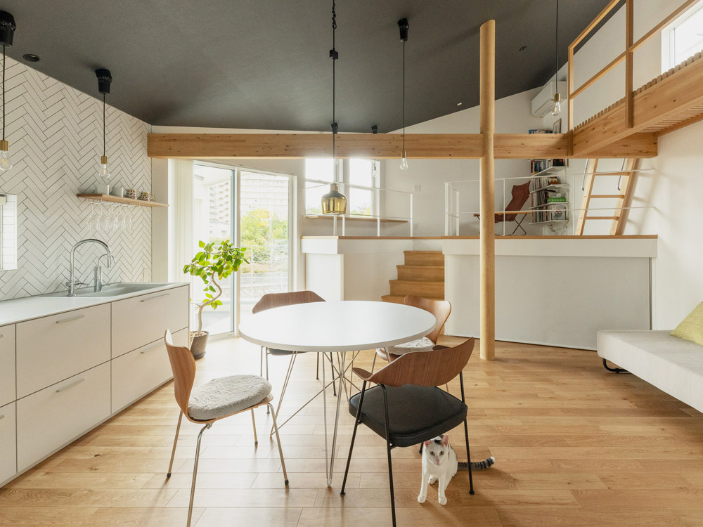 CASE782 ねこと暮らす家