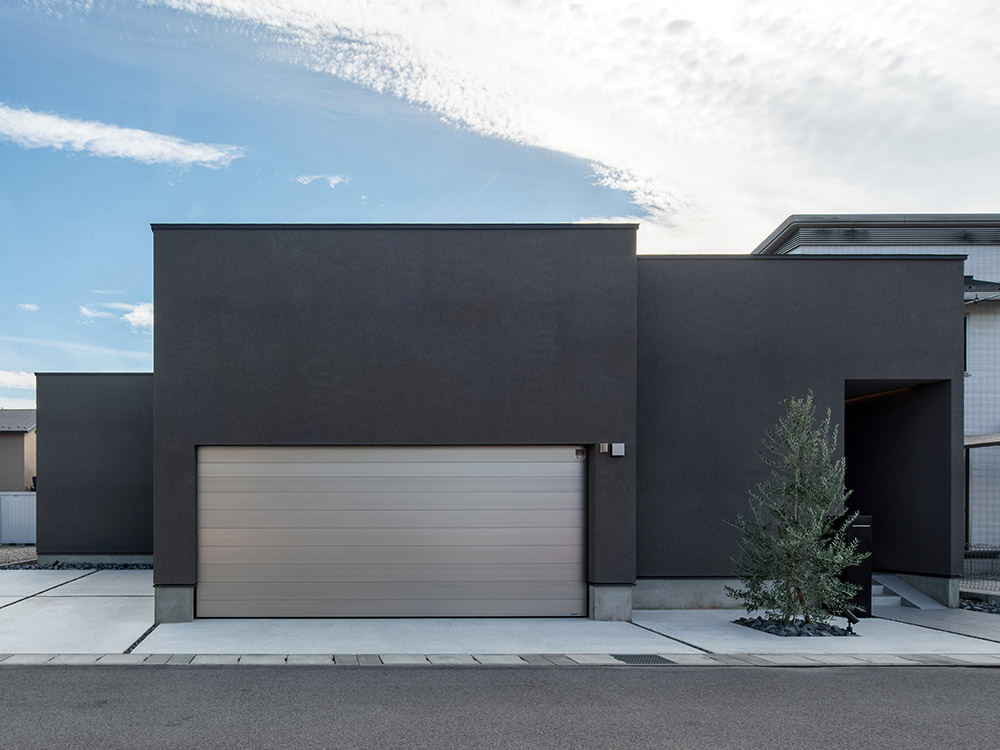 CASE787 Monotone Nest